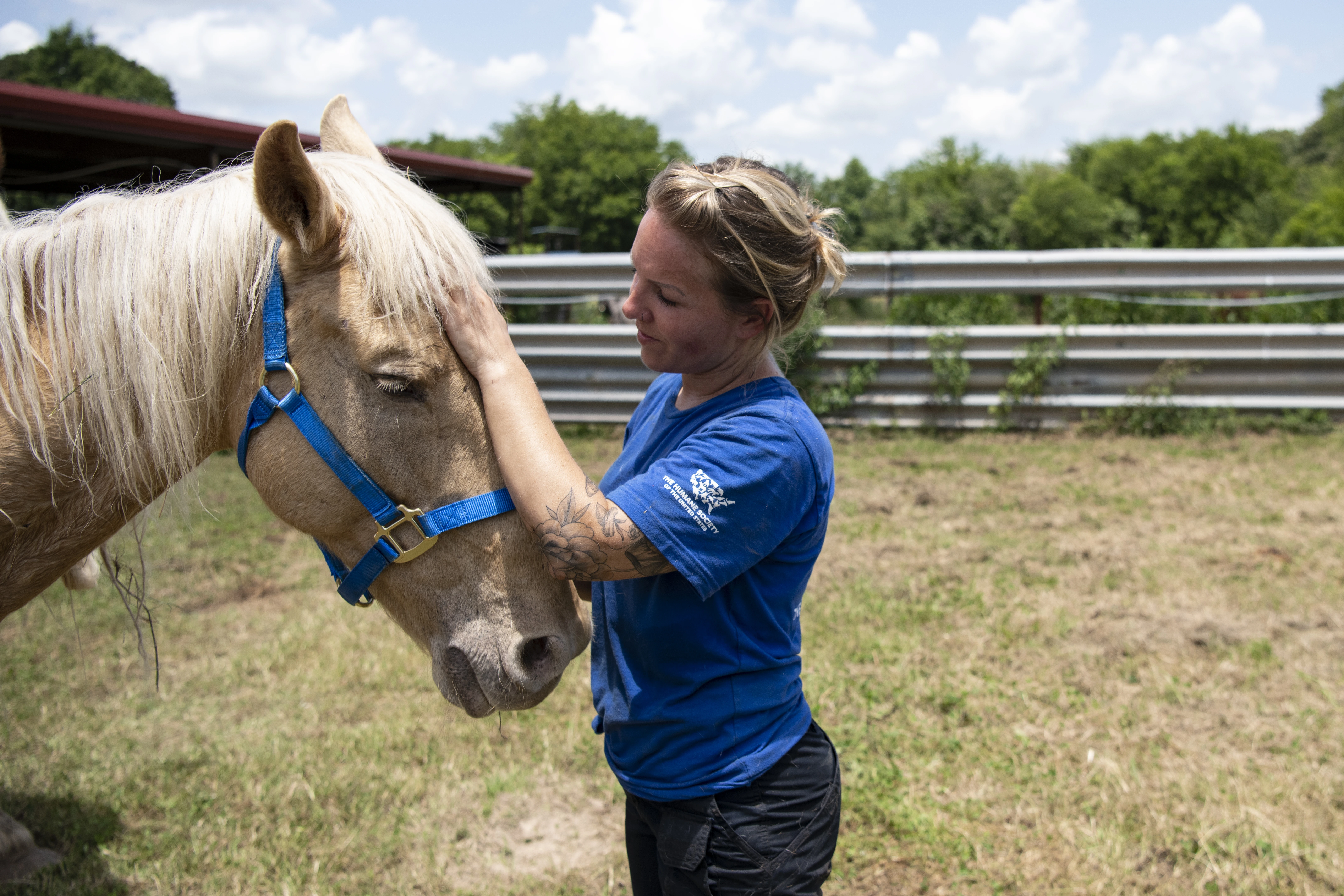 on Caring for a horse at Black Beauty Ranch in Murchison, TX. Photo courtesy of the HSUS.